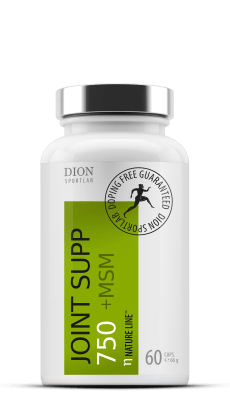 JOINT SUPP 1000 +MSM | Locītavām